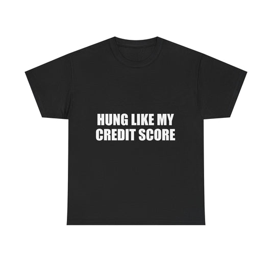 HUNG LIKE MY CREDIT SCORE